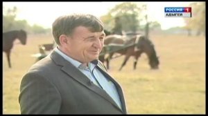 Егерухай