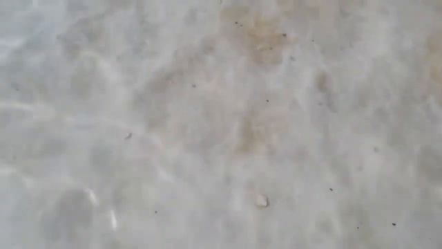 Мертвое море Израиль смотреть онлайн