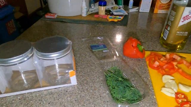 Squid Fishing & Pickling Squid.