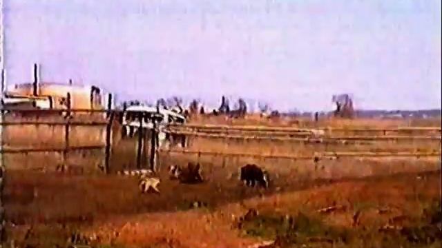 кабан смотреть онлайн