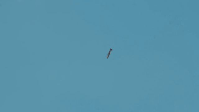 KAM Aero Extra 2018 Red Stick смотреть онлайн