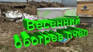 Профессор Кашковский про весенний обогрев пчёл