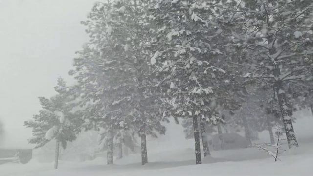 Yosemite Blizzard 2/27/23 смотреть онлайн