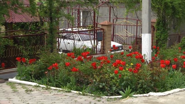 Перевірка санітарного стану вулиць Подільська смотреть онлайн