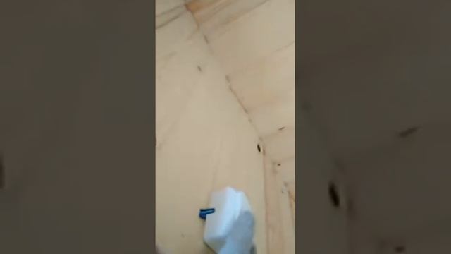 Туалет своими руками смотреть онлайн