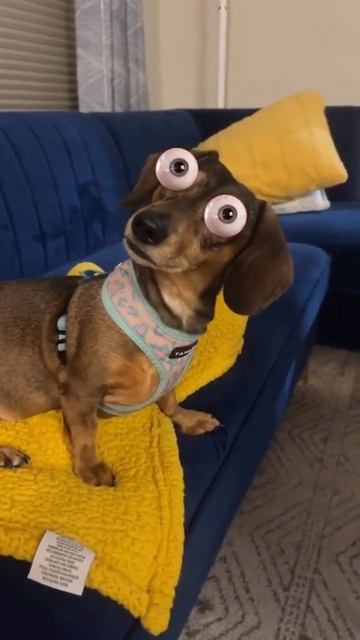 Такси в шоке😳😁 смотреть онлайн