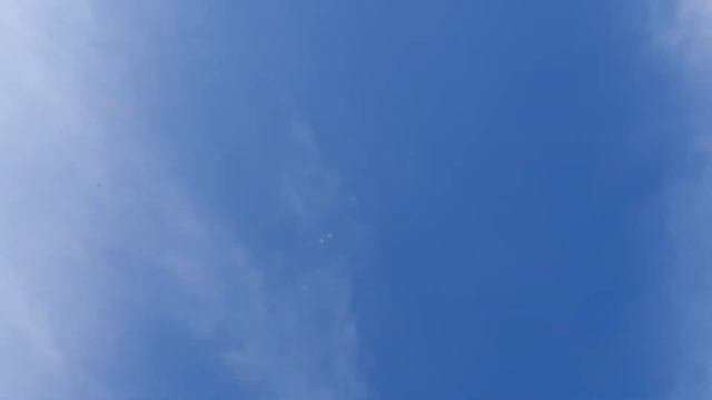 Утренний гон молодых. 15.03.19. смотреть онлайн