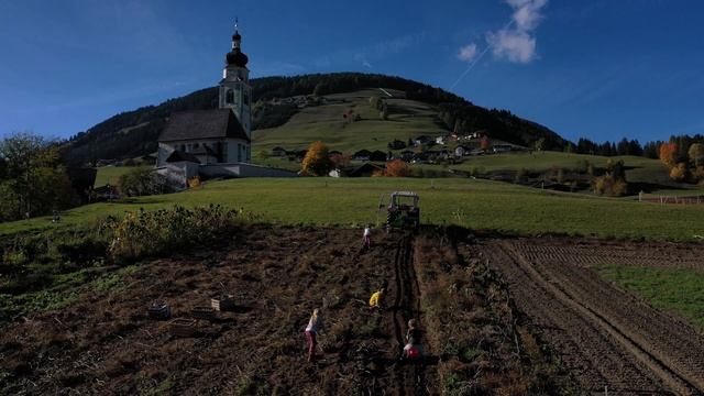 Erdäpfel ora et labora смотреть онлайн
