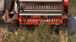 ЯПОНСКИИ Комбайн KUBOTA DC-1SU. Уборка фасоль