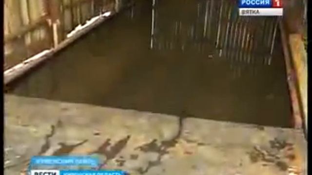 СПК «Березниковский» — угроза свиноводству региона