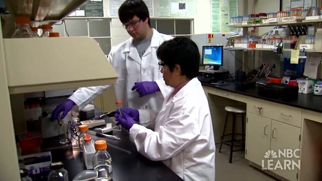 Science of Innovation: Anti-Counterfeiting Devices смотреть онлайн
