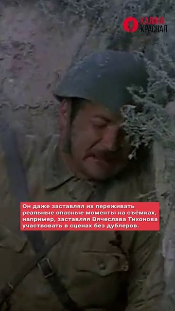 Интересные факты о фильме «Они сражались за Родину»! смотреть онлайн