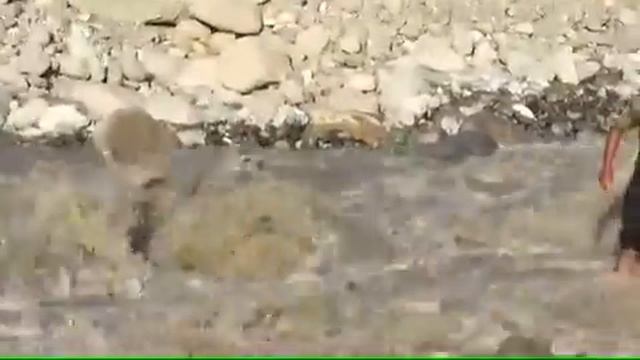 Дар тобистон роҳи девлох смотреть онлайн