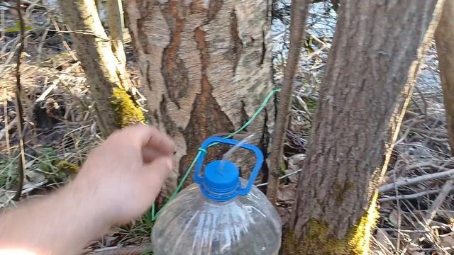 Дачная жизнь / Домашние рецепты