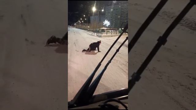 Ооо нет собаки сняли ШтанЫ смотреть онлайн