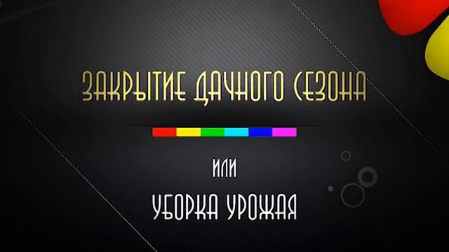 26 августа(пятница) NG SALVADOR - УБОРКА УРОЖАЯ смотреть онлайн