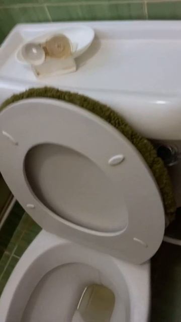 PROFESSIONAL CLEANING SERVICES FOR STAINED TOILETS, SINKS, BATHTUBS IN NAIROBI.+254726933 261 смотреть онлайн