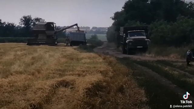 Уборка пшеницы 🌾🌾🌾 смотреть онлайн