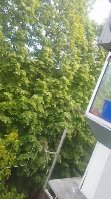 29 мая 2020 г.(1) смотреть онлайн