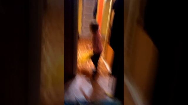 София ТВ смотреть онлайн