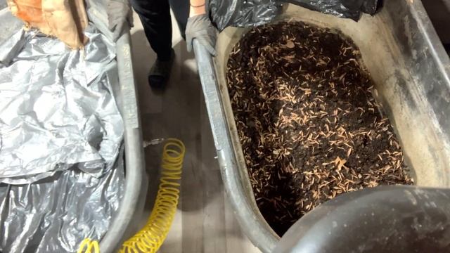 Filling The Grow-out Tanks