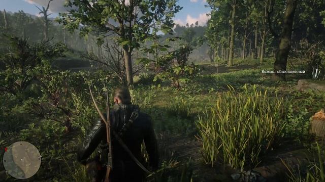 Камыш обыкновенный (common reed) Red Dead Redemption 2 смотреть онлайн