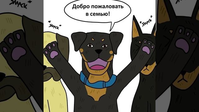 Комикс по фандому Пикси и Брут #комикс #кот #собака #брут #пикси #cat #dog смотреть онлайн