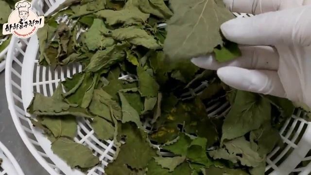 🧡 방아잎(배초향)가루 분말 만들기 (Agastache Rugosa) 방아잎 보관법