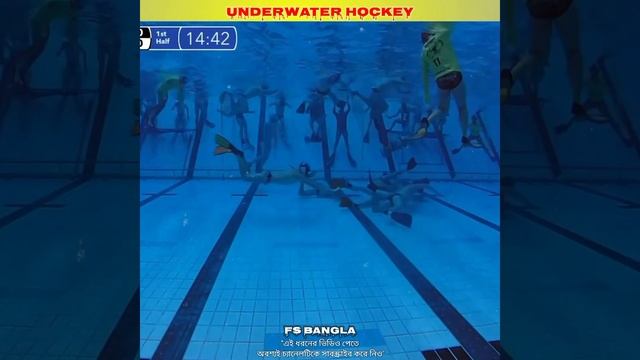 UNDERWATER HOCKEY 😱 ll FS Bangla ll #shorts, #facts.... смотреть онлайн