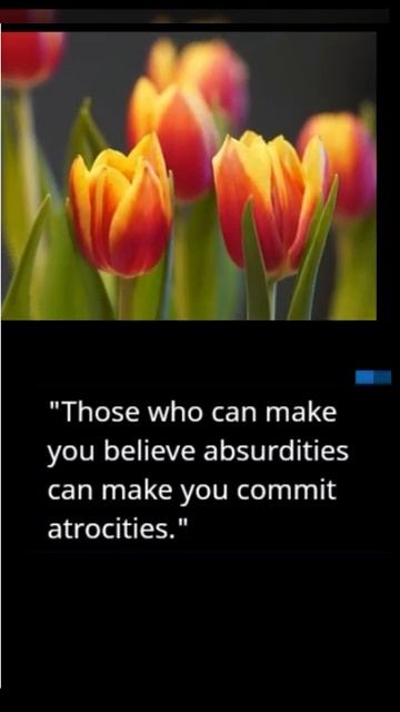 Voltaire : Famous Quotes смотреть онлайн