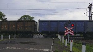 RailWay Russian railroad crossing. Electric & diesel locomotives / Электровоз и тепловоз тянут поез