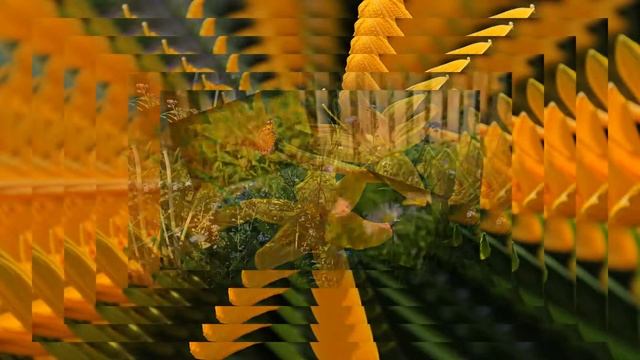 муз.Vangelis -- La Petite Fille De La Mer (Фото Татьяны Соловьёвой ) смотреть онлайн