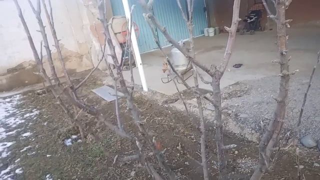 Колоннавидная" деп алма алдынызбы? смотреть онлайн