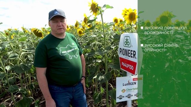 Pioneer® П64ЛП130 - гібрид з відмінним захистом від вовчка, НБР, іржі за технологією Clearfield®Plu смотреть онлайн