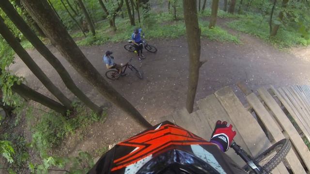 2017/06/19 Олешки