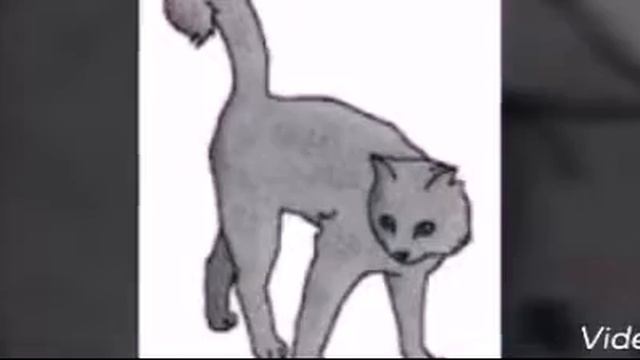 Коты воители смотреть онлайн