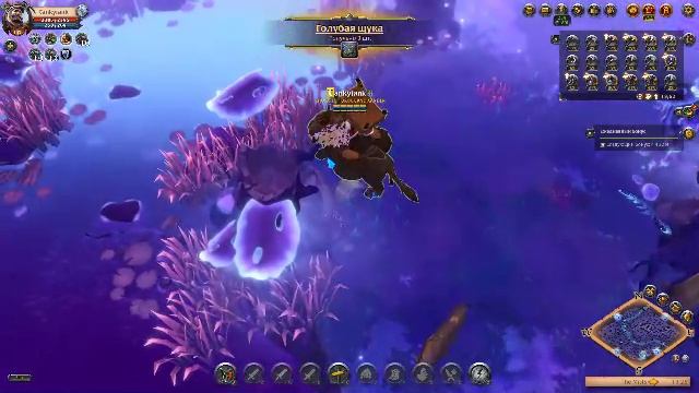 Albion EU продолжаем кач и фарм