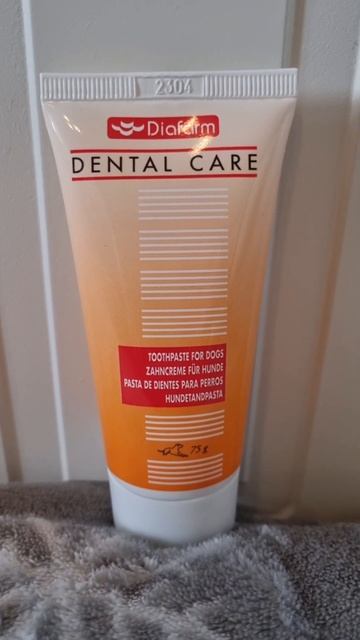 Зубная паста для собак.#Shorts#york#Dog#york#зубная_паста # смотреть онлайн