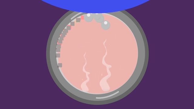 Новая технология переработки мусора