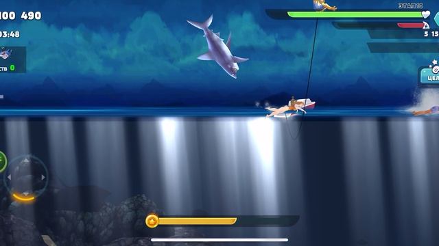 Высокие прыжки акулы