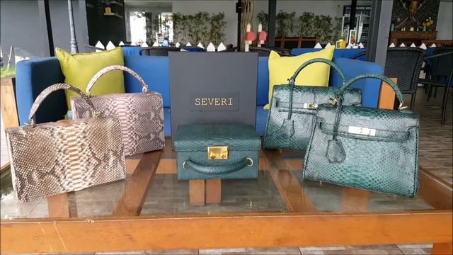 Prezintation bags SEVERI смотреть онлайн