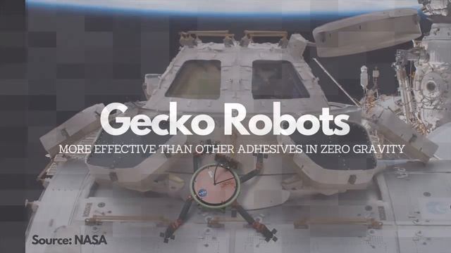 RARE BIOMIMICRY EXAMPLES-Innovation Ideas|Innovative Ideas For Kids Bigs #ideaskipathshala Vid 17