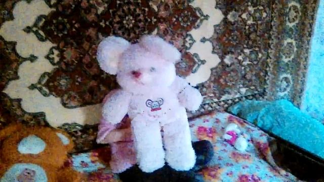 В мире животных смотреть онлайн