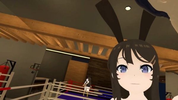 Boxing Bunny beats you up🐇 VRchat POV BOXING