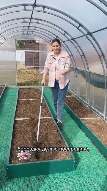 3 урожая свёклы за сезон смотреть онлайн