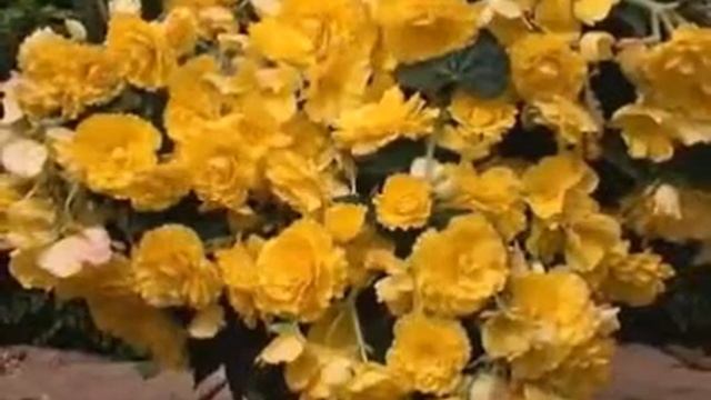 Песня со смыслом смотреть онлайн