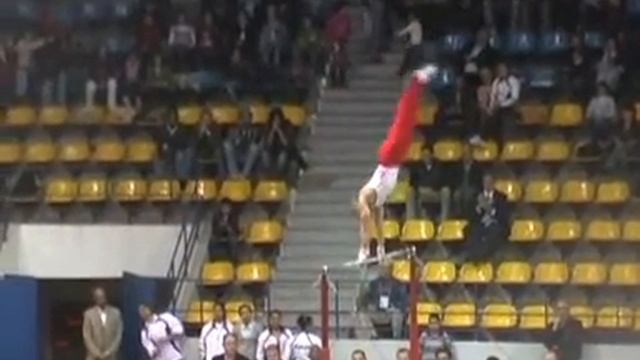 Tamer Ragab Horizontal Bar 2009 African Gymnastics Championships (EF) смотреть онлайн
