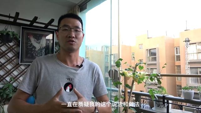 铁线莲修剪花苞有没有效？6个花苞为我证明！ смотреть онлайн