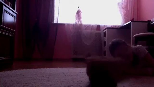 Поющие крольчата #3 смотреть онлайн