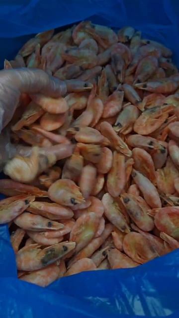 Креветка северная, варено-мороженная
Размер: 90-120шт/кг